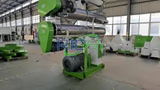 Feed Pelletizer Machine, 2021 New Animal Feed Pellet Making Machine, 8-10TPH Feed Pellet Mill