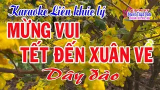 Karaoke liên khúc lý MỪNG VUI TẾT ĐẾN XUÂN VỀ - DÂY ĐÀO [ VKL - ĐKLG - PVĐK ]