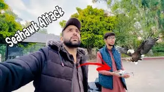 Aj To bal bal bach gya drone || seahawk attack on drone