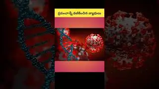 Some diseases that shook the world