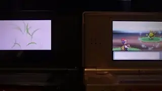 [FLoYT] Live Shiny elekid 17,616 REs