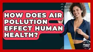 How Does Air Pollution Effect Human Health? - Sports Jobs