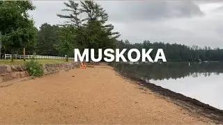 Dwight Beach | Lake of Bays | Muskoka
