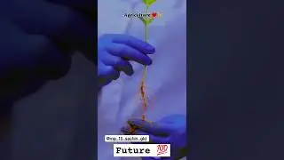 #music #future #agriculture ❤️#agriculture is the future 💯
