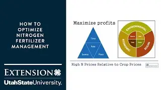 How to Optimize Nitrogen Fertilizer Management