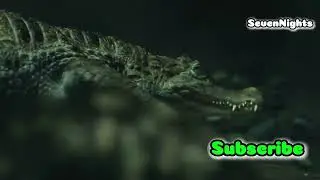 Dangerous Animals You Didn&rsquo;t Know Lived in Asia!
