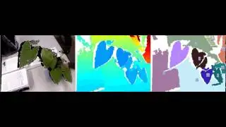 VideoData 33 segmentation