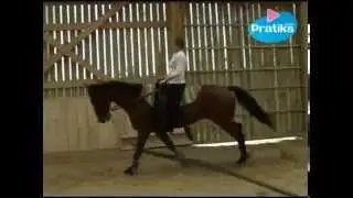 Equestrian Vaulting How to do a side Y