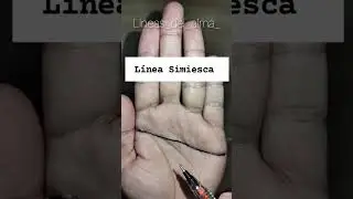 L&iacute;nea Simiesca #quiromancia #viral #cabala #lecturademanos #magia #viralreels