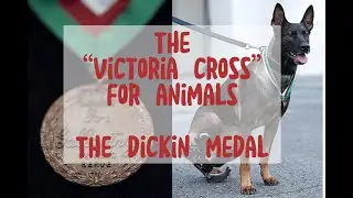 The &ldquo;Victoria Cross&rdquo; for Animals - the Dickin Medal