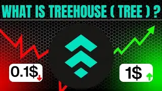 What is Treehouse ( TREE ) Coin? A Deflationary Utility Token in Crypto Analytics