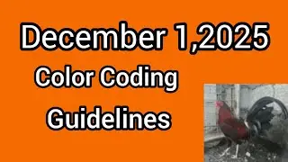 December 1,2025 Color Coding guidelines 