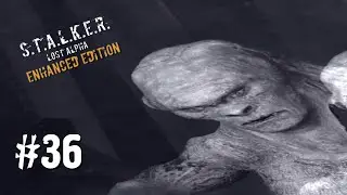 Х-7 ► S.T.A.L.K.E.R. Lost Alpha Enhanced Edition ► #36