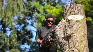 TREE SERVICE VANCOUVER - TREE AND STUMP REMOVAL IN VACOUVER AND LOWER MAINLAND