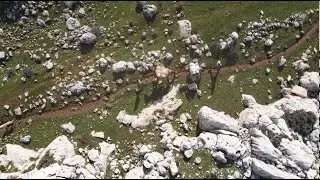 حطابون يبحثون عن بقايا الأشجار لتأمين قوت يومهم في حارم بريف إدلب