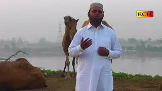 Kharrat Madiny Wally Di || New Naat Sharif || Waheed Razzaq