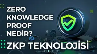 What is Zero Knowledge Proof? All About ZKP Projects and Zero-Knowledge Proofs