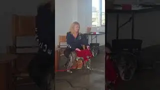 Helping Lost Animals 101 recorded video