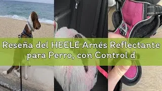 Reseña del HEELE Arnés Reflectante para Perro, con Control de Mango Acolchado, 2 Anillos de Metal, a