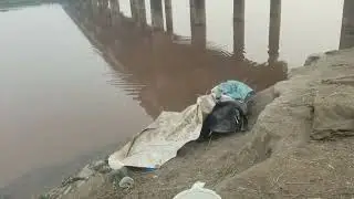 Fish video Darya Ravi Lahore Update vlog #fishing #hunting ##aqibch