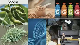 Engineering Clean Meat&mdash;Marie Gibbons&mdash;EAGxBoston 2018