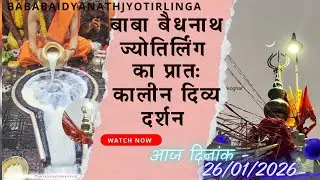 बाबा बैधनाथ का प्रातः कालीन सरदारी पूजा का दिव्य दर्शन 🔱 आज दिनांक - 26/01/2026 #shorts