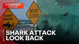 Shark Country: Dark side of Australia’s beach obsession | A Current Affair
