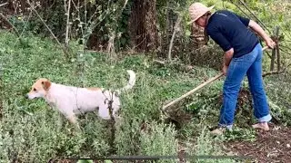 SOM DA NATUREZA - A VOZ SILENCIOSA DE DEUS - CULTIVAR A TERRA
