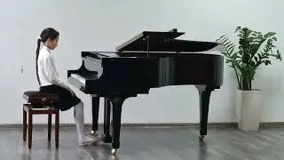 ANASTASIA BRAGA - V.A.Mozart 