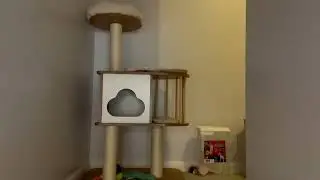 Why Tangkula Wood Cat Tree Might Be The Best Decision You'll Make For Your Feline Friend
