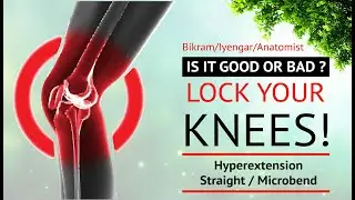 Locked Knees | Yoga Knee Alignment | Hyperextension |  Yoga Anatomy Course