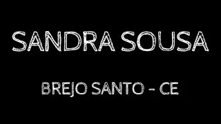 DAN&Ccedil;ANDO INVISIBILIDADES - SANDRA SOUSA [S&Eacute;RIE]