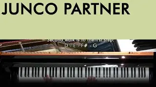 New Orleans Piano Tutorial: JUNCO PARTNER