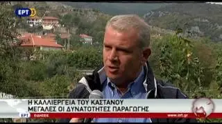 Ιδιαίτερα επικερδής η καλλιέργεια του κάστανου
