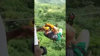 Ziplining Through the Jungle Canopy. #shortsvideo #zipline #jungle