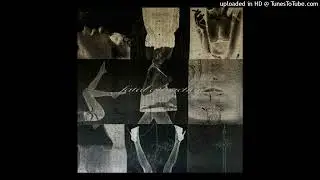 zodiak - haunted house