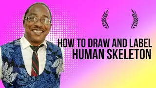 Human Skeleton drawing and labelling skills.