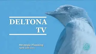 City of Deltona - Strategic Planning 1