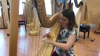 Salvi Daphne 44
