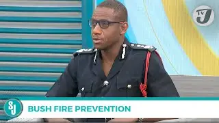 Bush Fire Prevention with Deptuty Comm. Sean Orlando Martin | TVJ Smile Jamaica