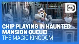 Chip Playing in the Haunted Mansion Queue - The Magic Kingdom
