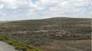 dog hunts pronghorn antelope