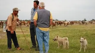 Sasvim prirodno: Dan stočara