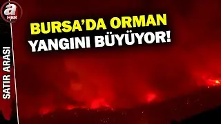 Bursa'da Orman Yangını Büyüyor... Alevlerin Okratasından Canlı Yayın! | A Haber