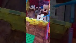 Hamham Mansion #hamster