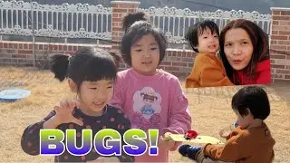 Catching bugs fun Day||yumyums
