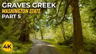 Exploring Graves Creek at Indoor Cycling & Treadmill Workout - 4K Forest Road Background Video - #5