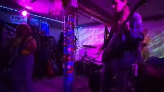 Tiny Lion - Full Set - Pool House - Nov 3 2024