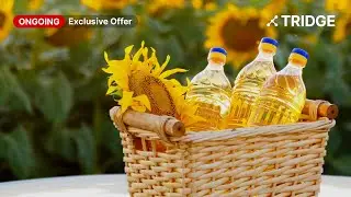 100% Refined Sunflower Oil Only from Ukraine