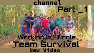 Working in jungle/help teams work better together. Problem solving teamwork activity#jungle #comedy
